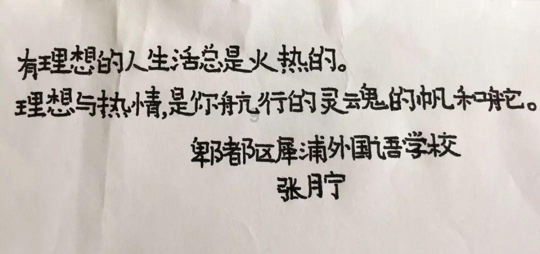 新帅会是谁?塞尔维亚媒体:扬科维奇已被中国足协正式解雇